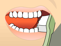 Toothbrush held at a 45-degree angle along the gumline